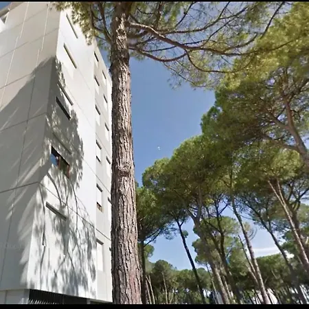 Elisa House